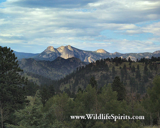 Click Picture to send as an  E-PostCard 54k 525x420
